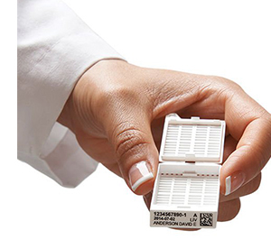 派美雅包埋盒打印完成樣品