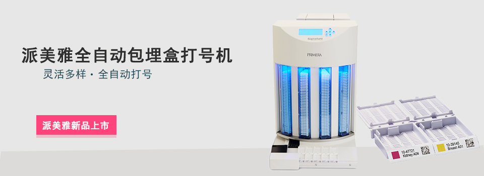 派美雅全自動包埋盒打號機新品上市