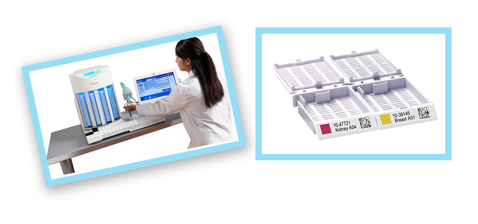 派美雅全自動包埋盒打號機工作現(xiàn)場